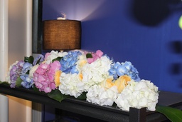 Ballade d'Hortensia