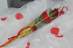 Ma Rose