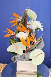 Porcelaine Naturel 62€